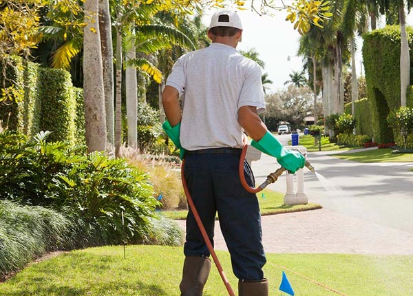 About Northfield CT Pest Control